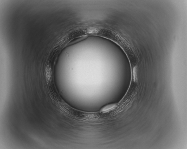X0000116431443200912151009