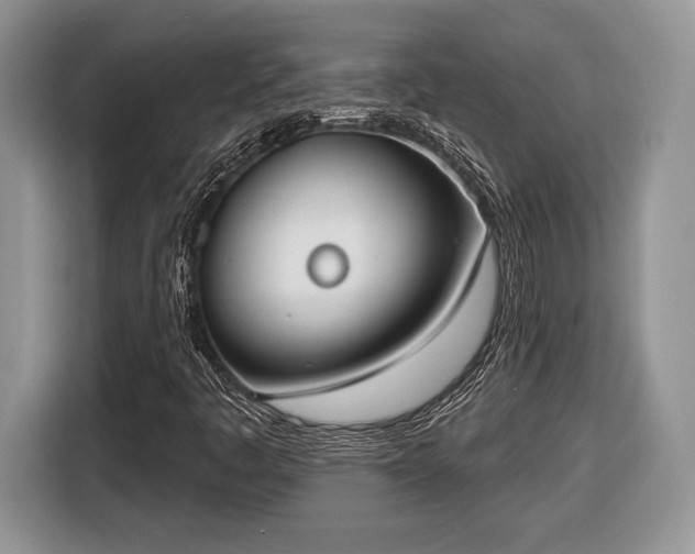 X0000116431445200912151009