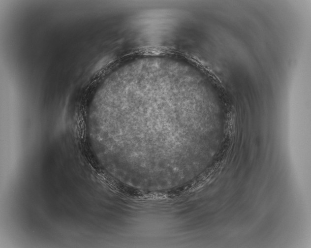X0000116431446200912151009