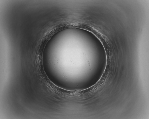 X0000116431447200912151009