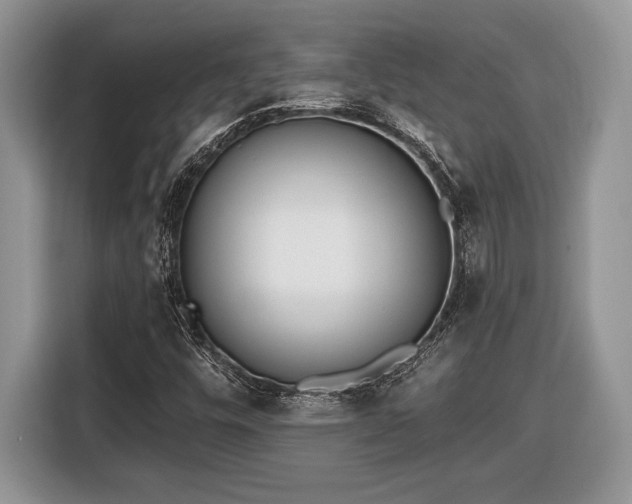 X0000116431448200912151009