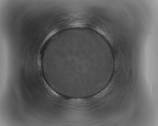 X0000116431450200912151009