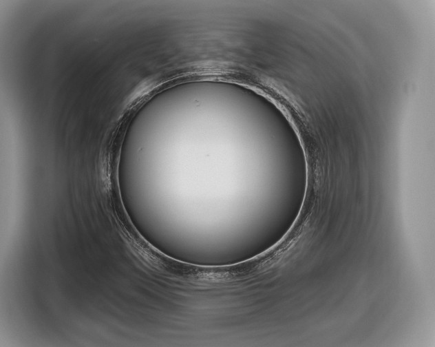 X0000116431451200912151009