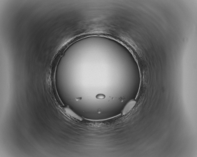 X0000116431452200912151009