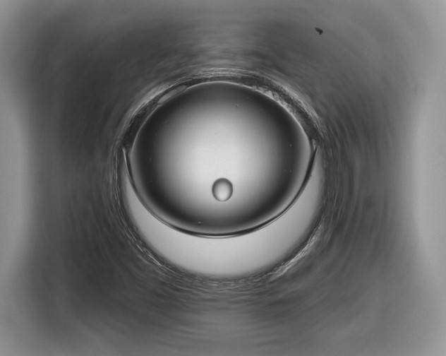 X0000116431453200912151008