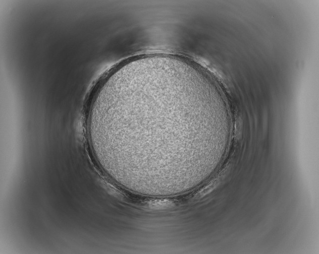 X0000116431454200912151008