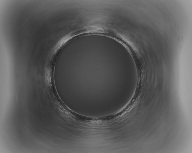 X0000116431455200912151008