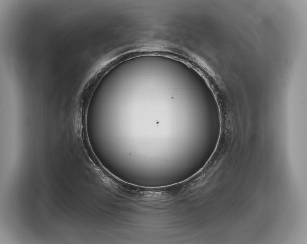 X0000116431456200912151008