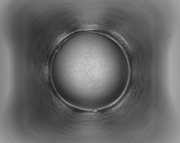 X0000116431457200912151008