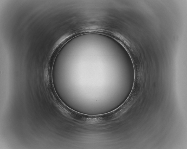 X0000116431458200912151008