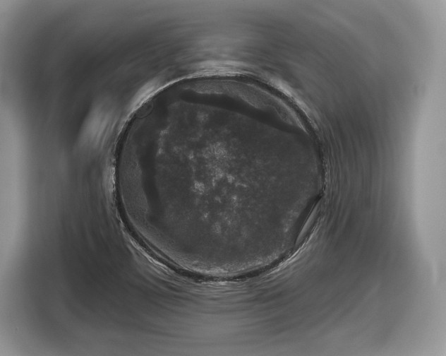 X0000116431459200912151008