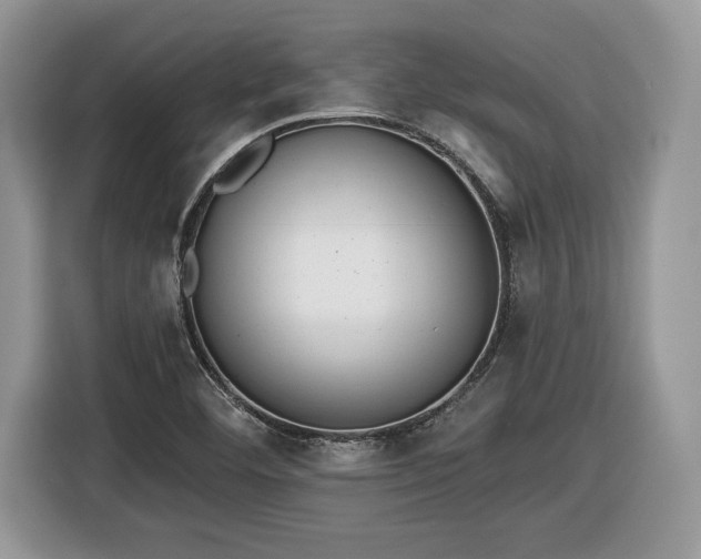 X0000116431460200912151008