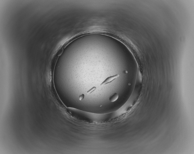 X0000116431461200912151008