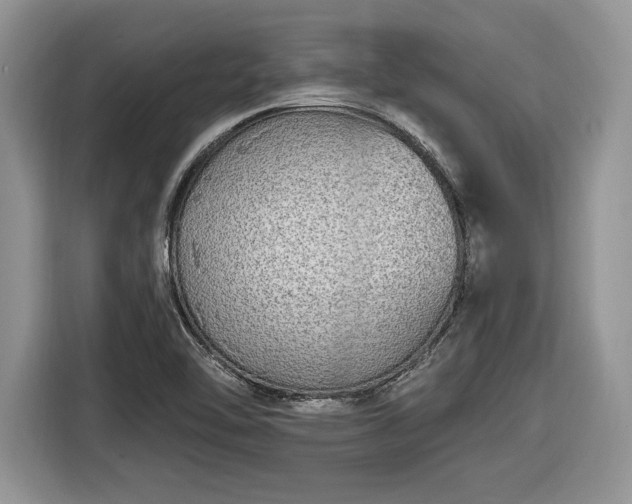 X0000116431462200912151008