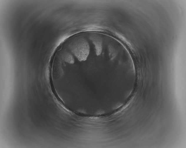 X0000116431463200912151008