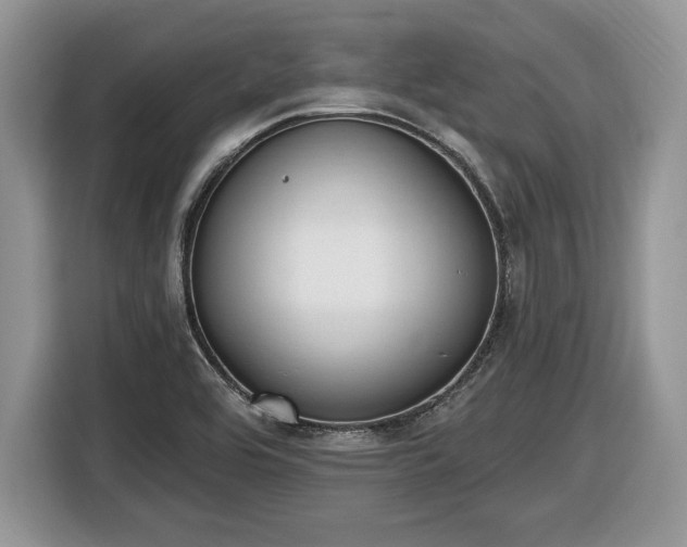 X0000116431464200912151008