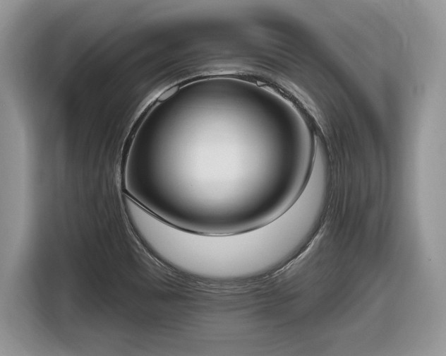 X0000116431465200912151008