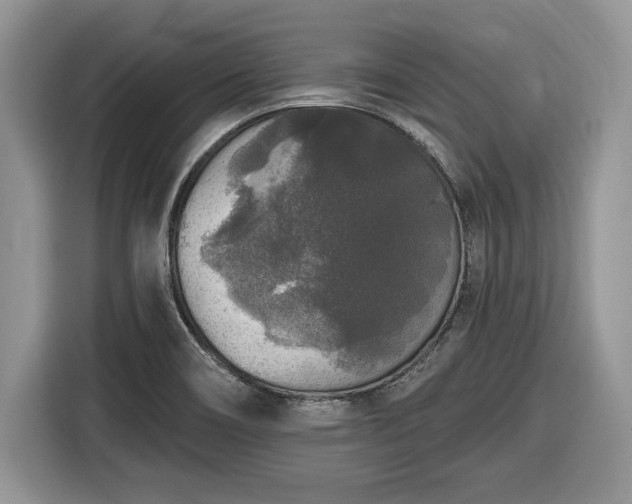 X0000116431466200912151008