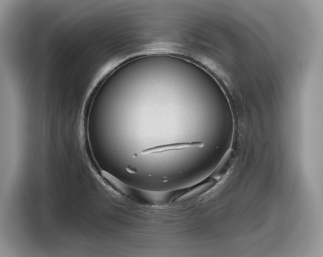X0000116431469200912151008