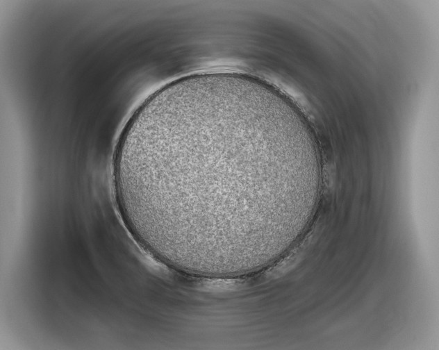 X0000116431470200912151008
