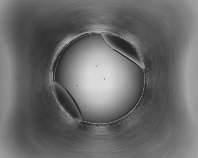 X0000116431472200912151008