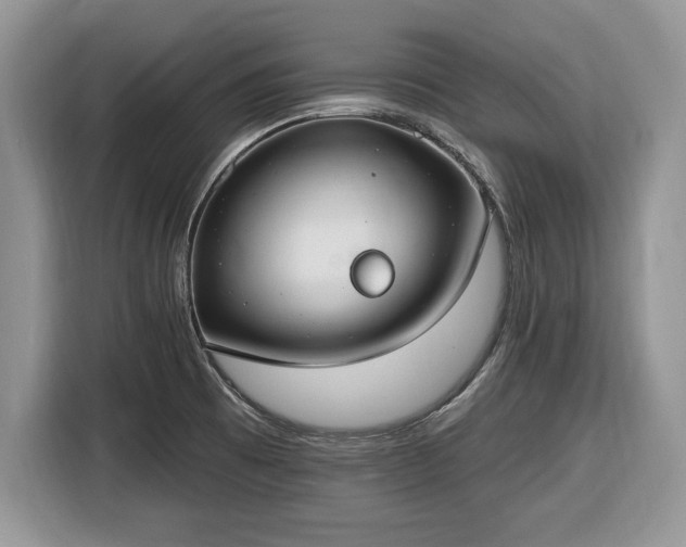 X0000116431473200912151008