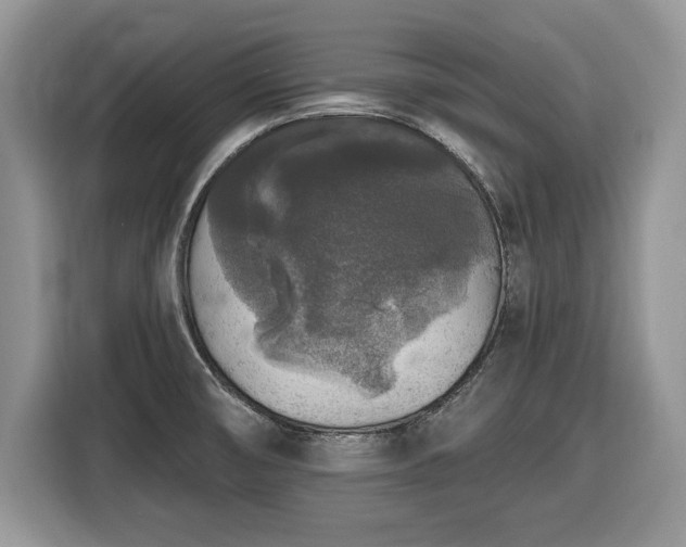 X0000116431474200912151008