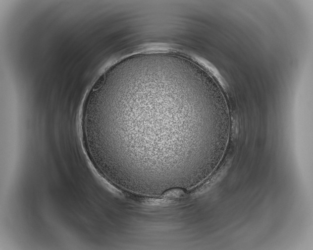 X0000116431475200912151008