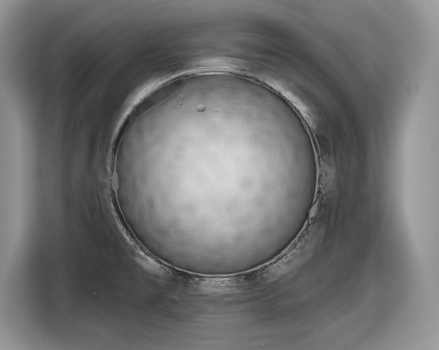 X0000116431477200912151008