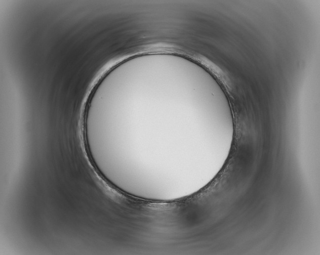 X0000116431478200912151008