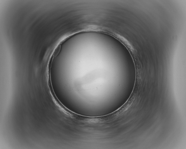 X0000116431479200912151008