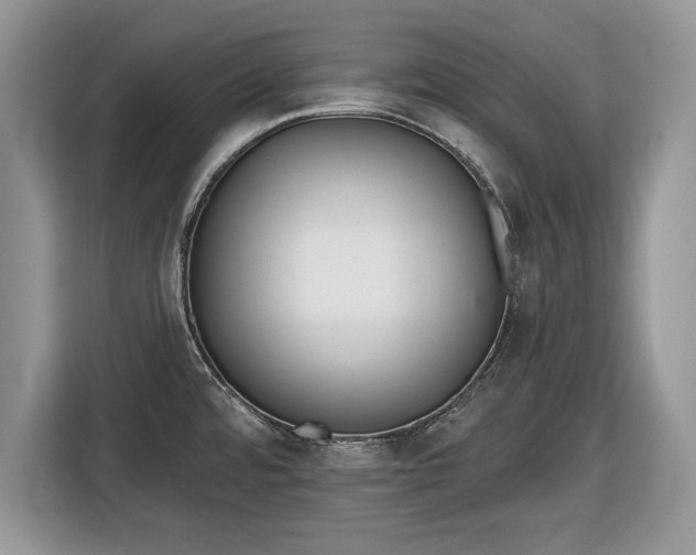 X0000116431480200912151008