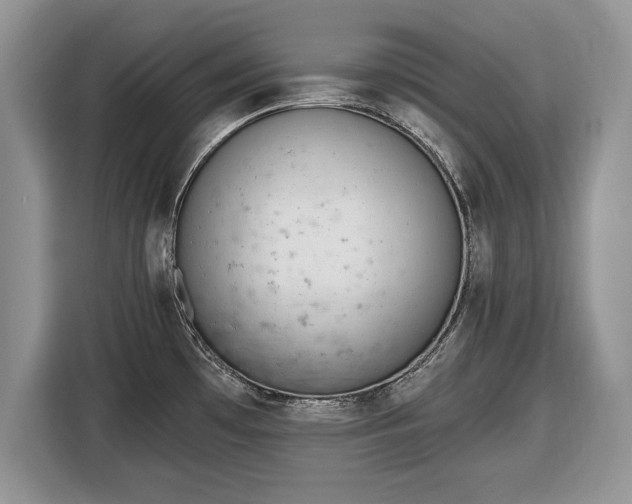 X0000116431481200912151008