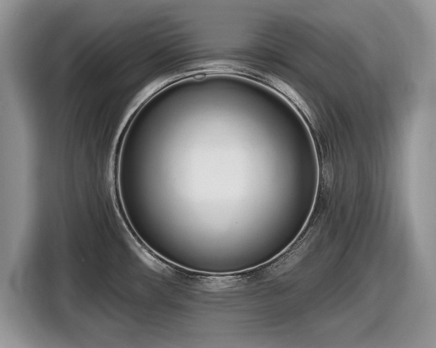 X0000116431482200912151008