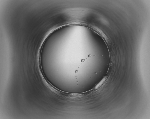 X0000116431483200912151008