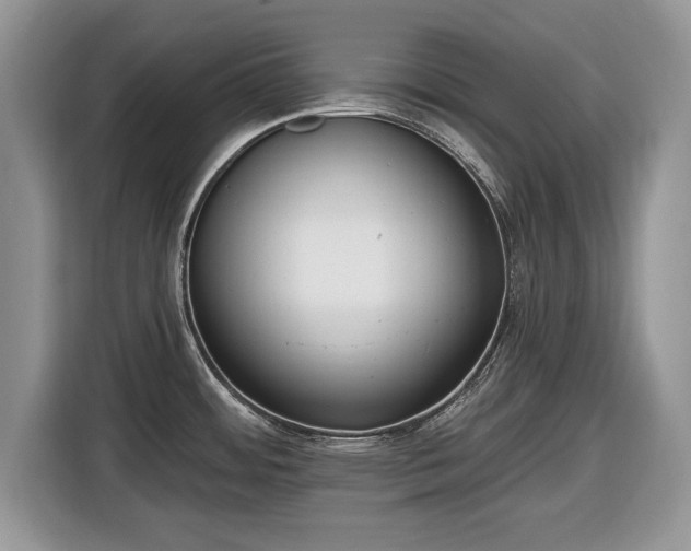 X0000116431484200912151008