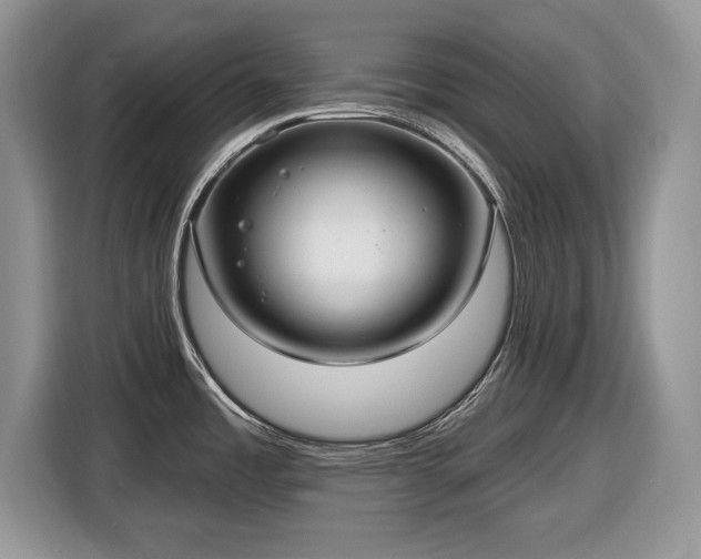 X0000116431485200912151008