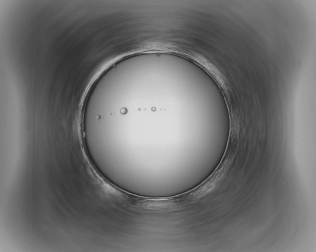 X0000116431486200912151008