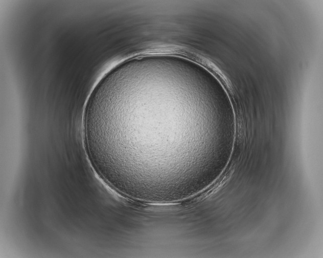 X0000116431487200912151008