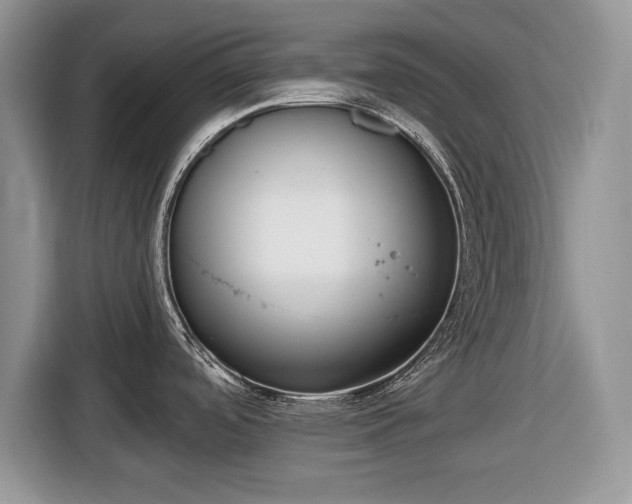 X0000116431488200912151008