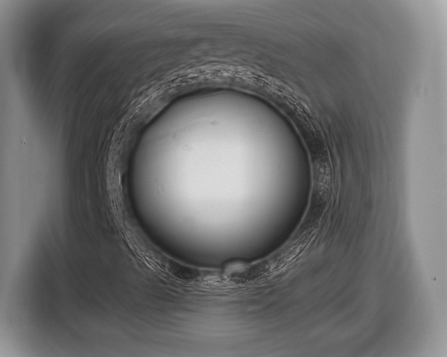 X0000116431489200912151007