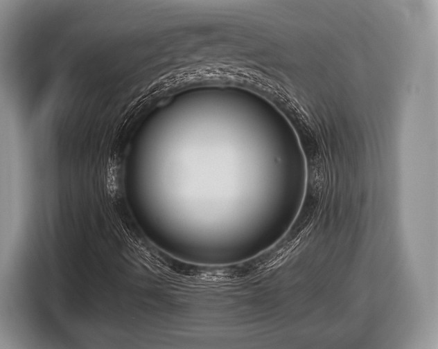X0000116431490200912151007