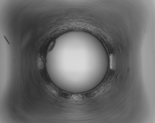 X0000116431491200912151007