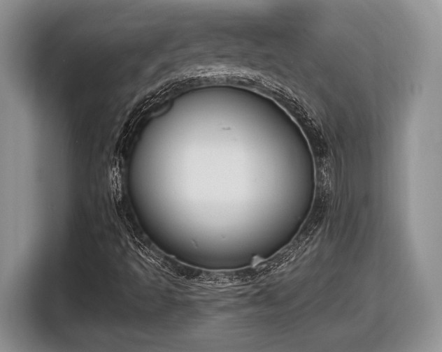 X0000116431493200912151007