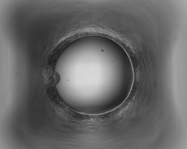 X0000116431494200912151007