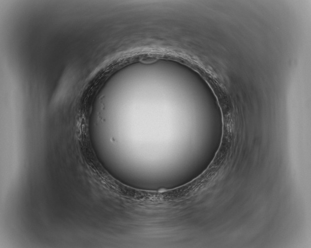 X0000116431495200912151007