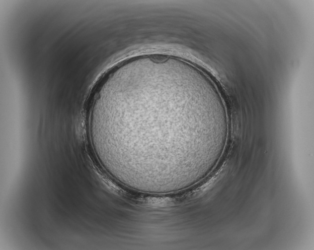 X0000116431498200912151008