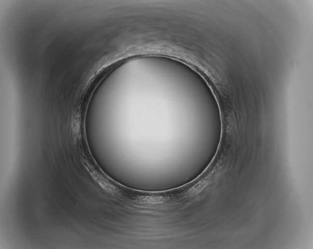 X0000116431499200912151008