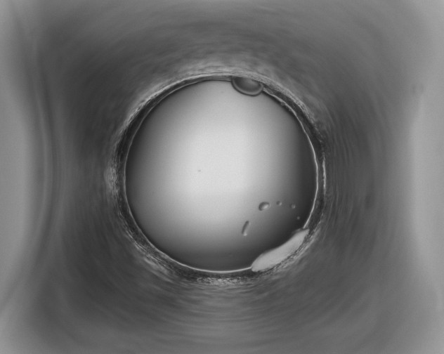 X0000116431501200912151008