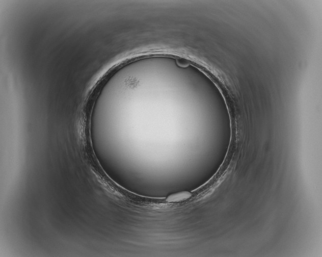 X0000116431502200912151008